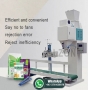 Heavy-Duty Auger Open Mouth Packaging Machine for Packaging Sugar/Salt/Pasta/Seeds